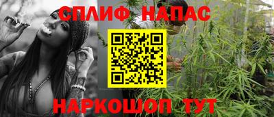 сатива Нарткала