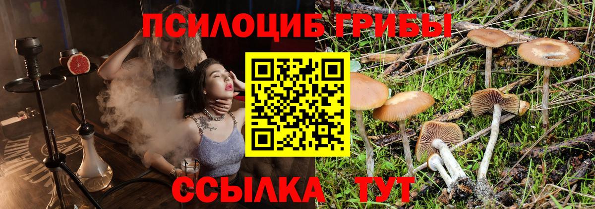 Галлюциногенные грибы мицелий Южноуральск